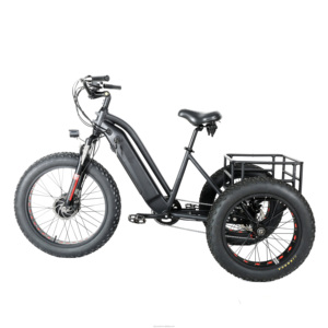 Elyx ES004 Food Delivery 36V12.5Ah Vélo cargo électrique de livraison Tricycle pour adulte - Product Image 1