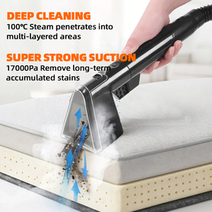 Nettoyeur vapeur professionnel pour tissus et tapis, aspirateur et laveur à sec, vente en gros usine - Product Image 2