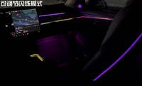 Éclairage d'ambiance pour Tesla Model 3 2021-2022, version 24 lumières gravées au laser