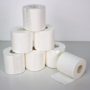 Tùy chỉnh giá rẻ nổi Trinh gỗ bột giấy 10 cuộn gói lõi giấy vệ sinh giấy cho nhà - Product Image 2