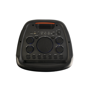 Altavoz Inalámbrico Doble de 10 Pulgadas para Exteriores, Caja de Música Portátil para Fiestas y Karaoke, Accesorios para Altavoces Profesionales - Product Image 5