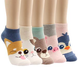 Gato perro <span class=keywords><strong>cerdito</strong></span> lindo divertido animal diseño mujer adolescente chica calcetines <span class=keywords><strong>de</strong></span> corte bajo - Product Image 4