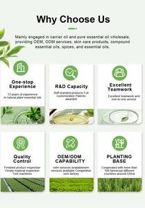 Aceite de nuez marroquí <span class=keywords><strong>Natural</strong></span> puro 100%, aceite esencial Premium para el cuidado del cabello, difusor para el hogar, humidificador de masaje de aromaterapia para la piel-4 - Product Image 6