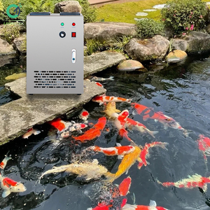Hiệu quả cao Koi AO Ozone Máy phát điện 5g 10g 15g 20g 220V Cá trang trại nước nhà sử dụng oxy Hydro Máy phát điện - Product Image 1