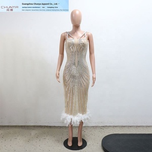 Robe midi à paillettes transparente pour femme, robe longue de soirée d'anniversaire à plumes 2025 - Product Image 2