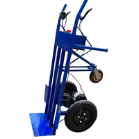 Carretilla Eléctrica de Acero Sólido de 500 kg en Oferta, Carro de Plataforma para Uso en Almacenes, Construcción y Fábricas, OEM