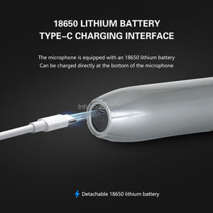 TNH UM-WX106 uno a due professionale microfono senza fili Plug and Play per la casa KTV all'aperto Audio Karaoke Stage Performance - Product Image 4