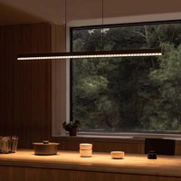 Lustre gris long et étroit, construction en aluminium et acrylique, vente en gros directe d'usine, taille personnalisée, luminaire suspendu pour restaurant et bar