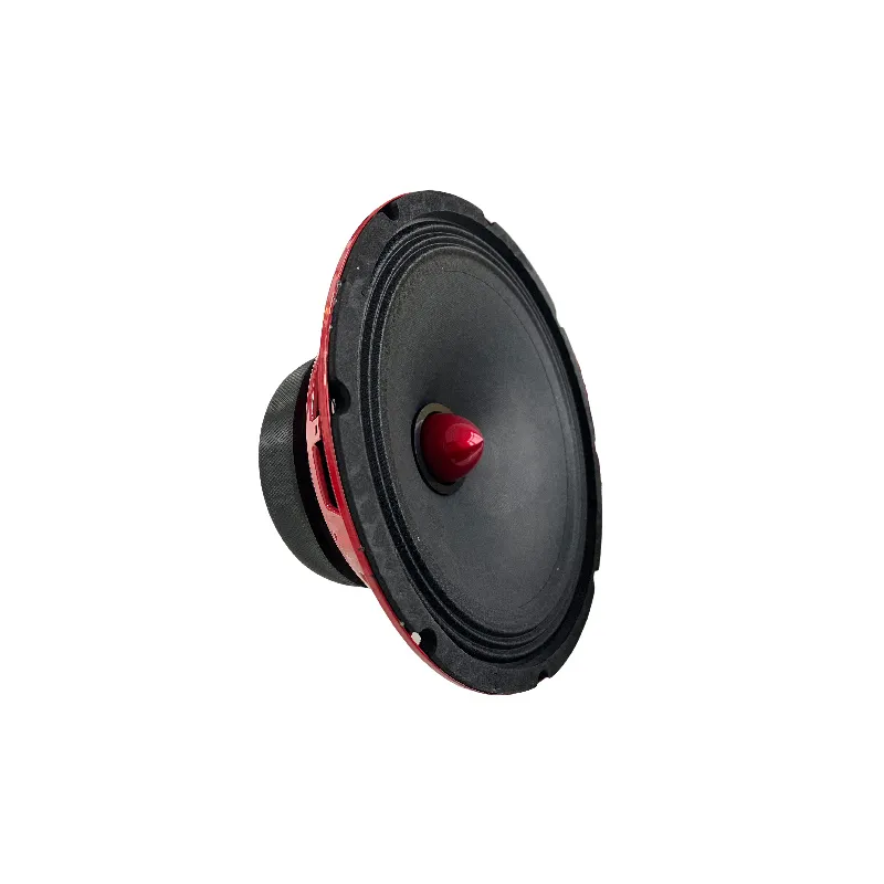 In stock high quality car accessories automotive parts car audio 10 inch car loudspeaker horn speaker