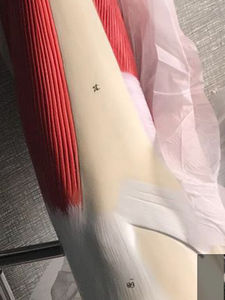 ए 1102 pvc कम अंग मांसपेशियों की संरचना शारीरिक मॉडल चिकित्सा स्कूल के अध्ययन के लिए स्पष्ट उपस्थिति पैर की मांसपेशियों मॉडल - Product Image 6