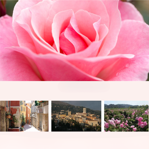 Sérum visage anti-âge et éclaircissant Petitra à l'EGF et aux peptides, infusé à l'eau de rose, pour usage domestique - Product Image 5