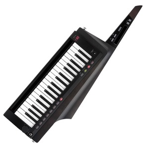 Synthétiseur portable <span class=keywords><strong>KORG</strong></span> RK-100S2, clavier 37 touches |   Version améliorée du clavier <span class=keywords><strong>MIDI</strong></span> RK100S - Product Image 4