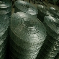 Grillage soudé en fil de fer 316L résistant aux acides, recouvert de plastique, à mailles carrées, pour la protection des cloisons industrielles