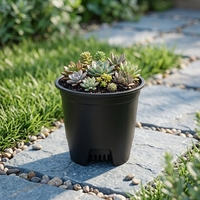 Petits pots de fleurs noirs pour pépinière, fabriqués en Chine, en PP, avec trous de drainage, durables, légers, biodégradables, vente en gros, style Japandi