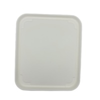 DL-platos de papel biodegradables desechables, placa de servicio de Pizza con logotipo personalizado