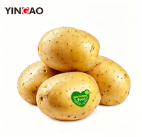 Étiquettes autocollantes en vinyle imperméable personnalisées, durables, en forme de cosmétique, pour l'emballage de fruits et légumes biologiques, en rouleau