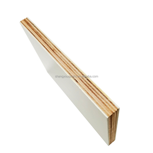 <span class=keywords><strong>Panel</strong></span> <span class=keywords><strong>de</strong></span> Madera Contrachapada Recubierto <span class=keywords><strong>de</strong></span> FRP con Fibra <span class=keywords><strong>de</strong></span> Vidrio Reforzada con Poliéster y Acabado Brillante para Caravana - Product Image 2