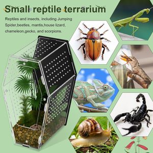 Recinto de Acrílico para Arañas, Contenedor para Mascotas, Caja de Alimentación para Arañas, Mantis, Monitores y Lagartos, Hábitat de Alta Transparencia - Product Image 2