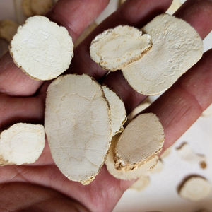 Bai Zhi Angelica Dahurica полезное травяное использование Baikal Angelica корни для продажи - Product Image 3