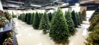 Arbre de Noël en cèdre réaliste et écologique de haute qualité avec base de support, vente en gros directe d'usine 2026