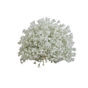 Nouveau style Boule florale souple <span class=keywords><strong>Hortensia</strong></span> Rose Ciel étoilé pour décoration de table de mariage, guide de chemin, présentoir géométrique et modèle floral - Product Image 5