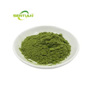 Ceremonial grado certificado 100% puro Matcha té verde en polvo a granel té verde Matcha en polvo