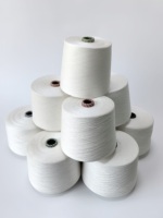 Fil à tricoter écologique Ne40/1 Siro Compact Spun 95% Birla Lyocell 5% Soie, fil mélangé, doux, pour vêtements de mode