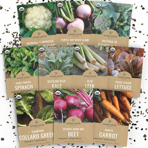 Certifié biologique 2025 saison variété Pack chou-fleur <span class=keywords><strong>navet</strong></span> chou frisé carottes plus résistant au froid pour intérieur extérieur plantation sans OGM - Product Image 1
