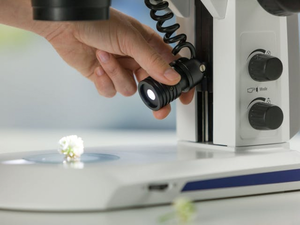 Microscope stéréo numérique Zeiss Stemi 305 HD, zoom stéréo 10x/23, 0,8x-4,0x - Product Image 2