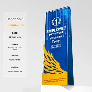 Nuevo trofeo creativo con tema de Ángel ecológico de cristal en forma de ala Premios de reunión anual de empleados sobresalientes personalizados - Product Image 6