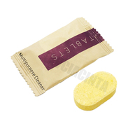 Comprimés effervescents multifonctionnels pour la cuisine, la salle de bain et la maison – Puissants produits de nettoyage domestique en comprimés effervescents