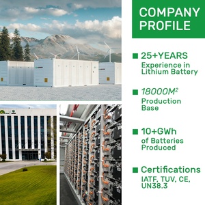 定制48V 51.2V可充电电动叉车电池24V 210Ah 315Ah 450Ah叉车用磷酸铁锂电池组 - Product Image 6