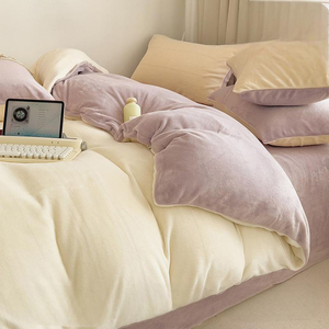 Mới Đơn Giản Sữa Nhung Ấm Bộ Đồ Giường Đặt Mùa Đông Mềm Mại Thoải Mái Nữ Hoàng Duvet Cover <span class=keywords><strong>Set</strong></span> <span class=keywords><strong>Comforter</strong></span> <span class=keywords><strong>Set</strong></span> - Product Image 4