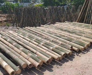 เสาไม้ไผ่แห้งธรรมชาติบริสุทธิ์ขนาดที่กําหนดเองที่คุ้มค่าสําหรับการก่อสร้างจากซัพพลายเออร์เวียดนามด้วยราคาที่แข่งขันได้ - Product Image 4