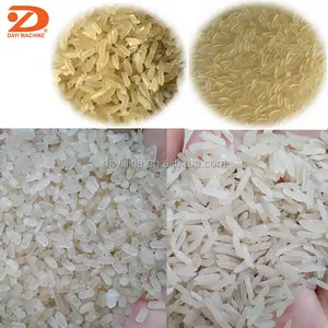 Extrudeuse de riz artificiel entièrement automatique production de riz nutritionnel enrichi ligne 1000 kg/h machine à riz artificiel