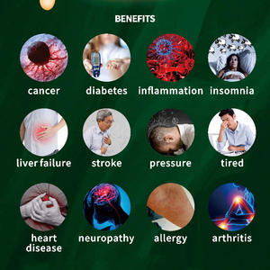 <span class=keywords><strong>Café</strong></span> Saludable Sin Azúcar <span class=keywords><strong>3</strong></span> <span class=keywords><strong>en</strong></span> <span class=keywords><strong>1</strong></span> para Comercio Exterior Transfronterizo, Marca HealthBrew, para el Mercado <span class=keywords><strong>del</strong></span> Sudeste Asiático - Product Image 4