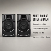 Système audio DJ sans fil 300W x 2 pour enceintes colonne, idéal pour bars, cafés, ordinateurs et téléphones portables avec lecture USB