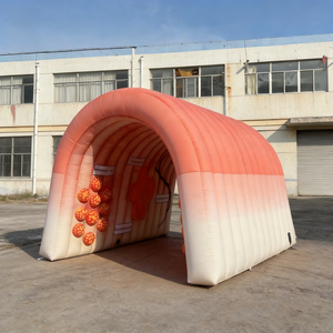 팽창식 신체 모형 대장관 팽창식 제품 맞춤형 팽창식 맞춤 디자인 광고용 팽창식 과학 교육용 - Product Image 1