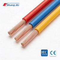 CE-zertifiziertes 1* 70mm Kupfer-PVC-isoliertes Flexibles Kabel 300/500V für Hausverkabelung und Bauanwendungen