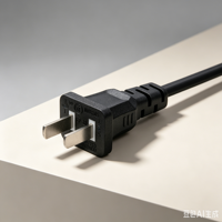 Câble d'extension industriel durable en cuivre et PVC avec connecteur IEC C17 - Cordon d'alimentation standard chinois pour ordinateur, 2 prises