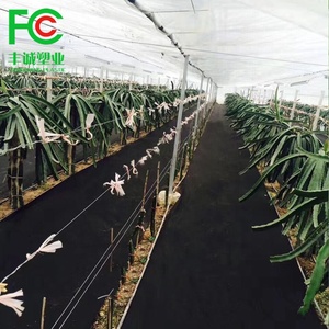 Couverture de protection <span class=keywords><strong>pour</strong></span> <span class=keywords><strong>plantes</strong></span> de jardin en tissu non tissé PP <span class=keywords><strong>pour</strong></span> fruits, tomates, bananes, <span class=keywords><strong>pour</strong></span> l'hiver - Product Image 5