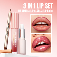 Ensemble de soins pour les lèvres 3 en 1 de haute qualité, marque privée, gloss pigmenté, crayon à lèvres et baume à lèvres, maquillage cosmétique végétalien, kit de gloss pour les lèvres