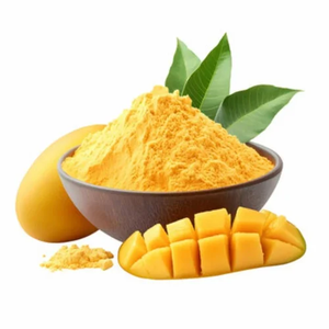 Poudre de noyau de mangue Mangifera Indica de haute qualité pour la formulation alimentaire, la pâtisserie, les smoothies, les boissons, les mélanges et les ingrédients à base de plantes - Product Image 1