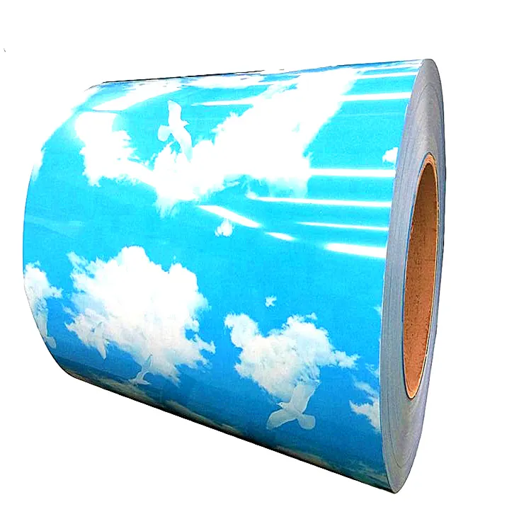 flower ppgi color coated steel coil with container house material for galvalume roof sheet