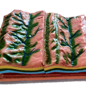 Modelo de enseñanza de Geografía de Ciencias Médicas de estructura de pliegue y su evolución geomórfica para equipos educativos - Product Image 3