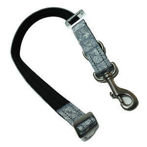 Eco-Friendly Heavy Duty Nylon <b>Dog</b> <b>Leash</b> Anti-Pull Feature Fashion Style Custom Logo Colors OEM/ODM Available Multi-Breed Sizes - Product Image 1