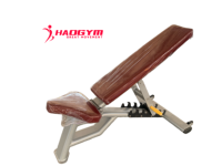 Banc de musculation réglable HAOGYM, bancs et supports de fitness multifonctionnels en métal de qualité commerciale
