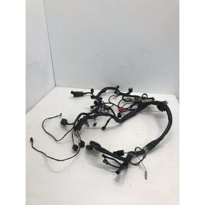 Cablaggio Indicatore Anteriore Destro Kawasaki Er6f Er6n Gtr1400 Zx10r Z1000 Zx6r - Product Image 2