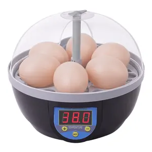 Incubadora doméstica pequena para ovos de galinha e pato, incubadora de alta taxa de incubação com 6 ovos, novo tipo