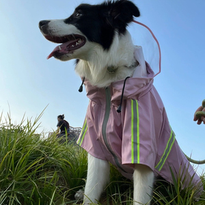 Mode vêtements pour animaux de compagnie élégant réfléchissant chien imperméable pour toutes les tailles chiens fournitures pour animaux de compagnie sans manches conception de manteau pour la marche en plein air - Product Image 6
